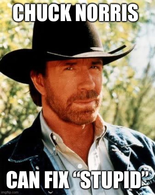 Chuck Norris | CHUCK NORRIS; CAN FIX “STUPID” | image tagged in memes,chuck norris | made w/ Imgflip meme maker
