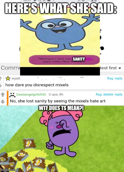 Rtcfimp 10 | WTF DOES TS MEAN?! HERE'S WHAT SHE SAID: SANITY | image tagged in rtcfimp 10 | made w/ Imgflip meme maker