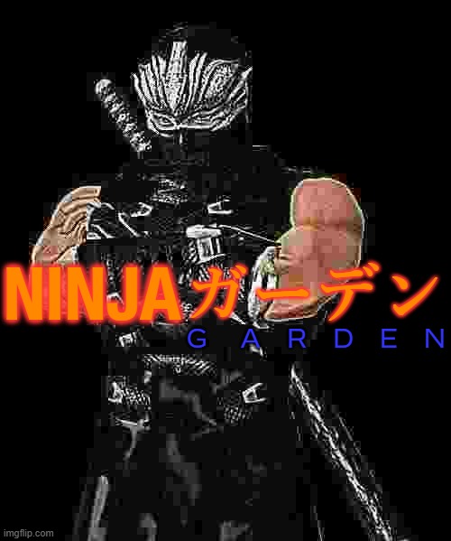 NINJA ガーデン G     A    R    D    E    N | image tagged in the killing machine of ninja gaiden | made w/ Imgflip meme maker