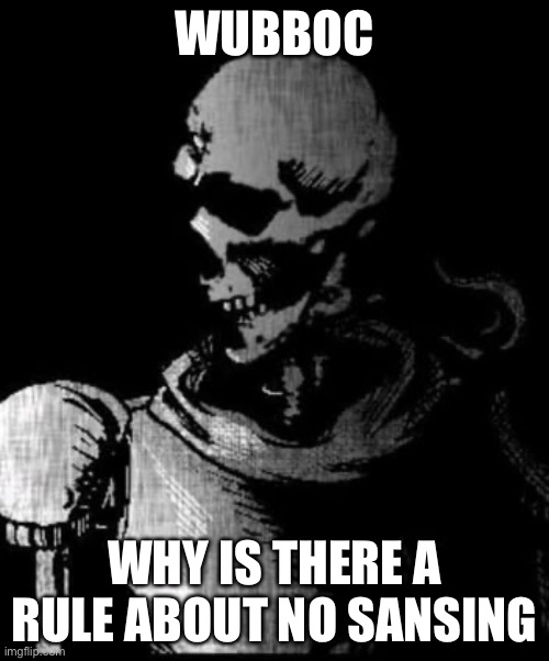 WHY | WUBBOC; WHY IS THERE A RULE ABOUT NO SANSING | image tagged in papyrus is done | made w/ Imgflip meme maker