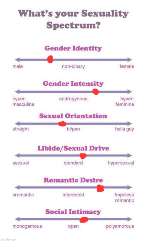 whats your sexuality spectrum | image tagged in what's your sexuality spectrum | made w/ Imgflip meme maker