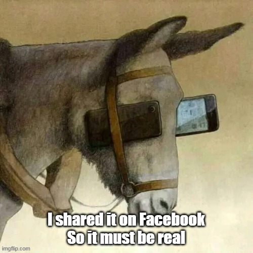 I shared it on Facebook
So it must be real | made w/ Imgflip meme maker