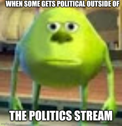 Bruh | WHEN SOME GETS POLITICAL OUTSIDE OF; THE POLITICS STREAM | image tagged in sully wazowski,politics,streams,bruh,mike wazowski,imgflip | made w/ Imgflip meme maker
