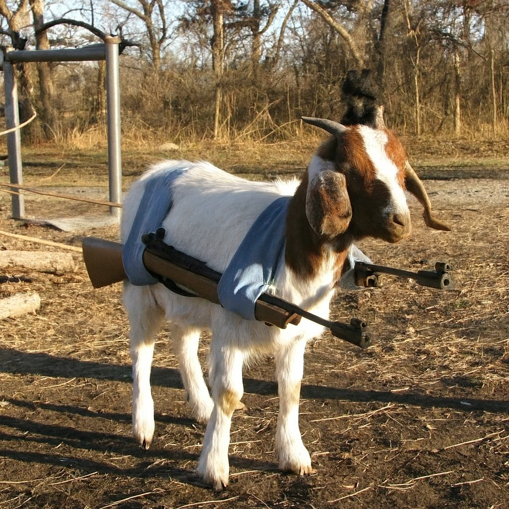 Chrisjoines1 Blank Meme Template