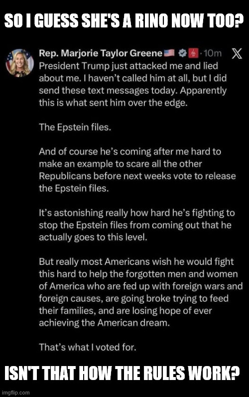 SO I GUESS SHE'S A RINO NOW TOO? ISN'T THAT HOW THE RULES WORK? | made w/ Imgflip meme maker