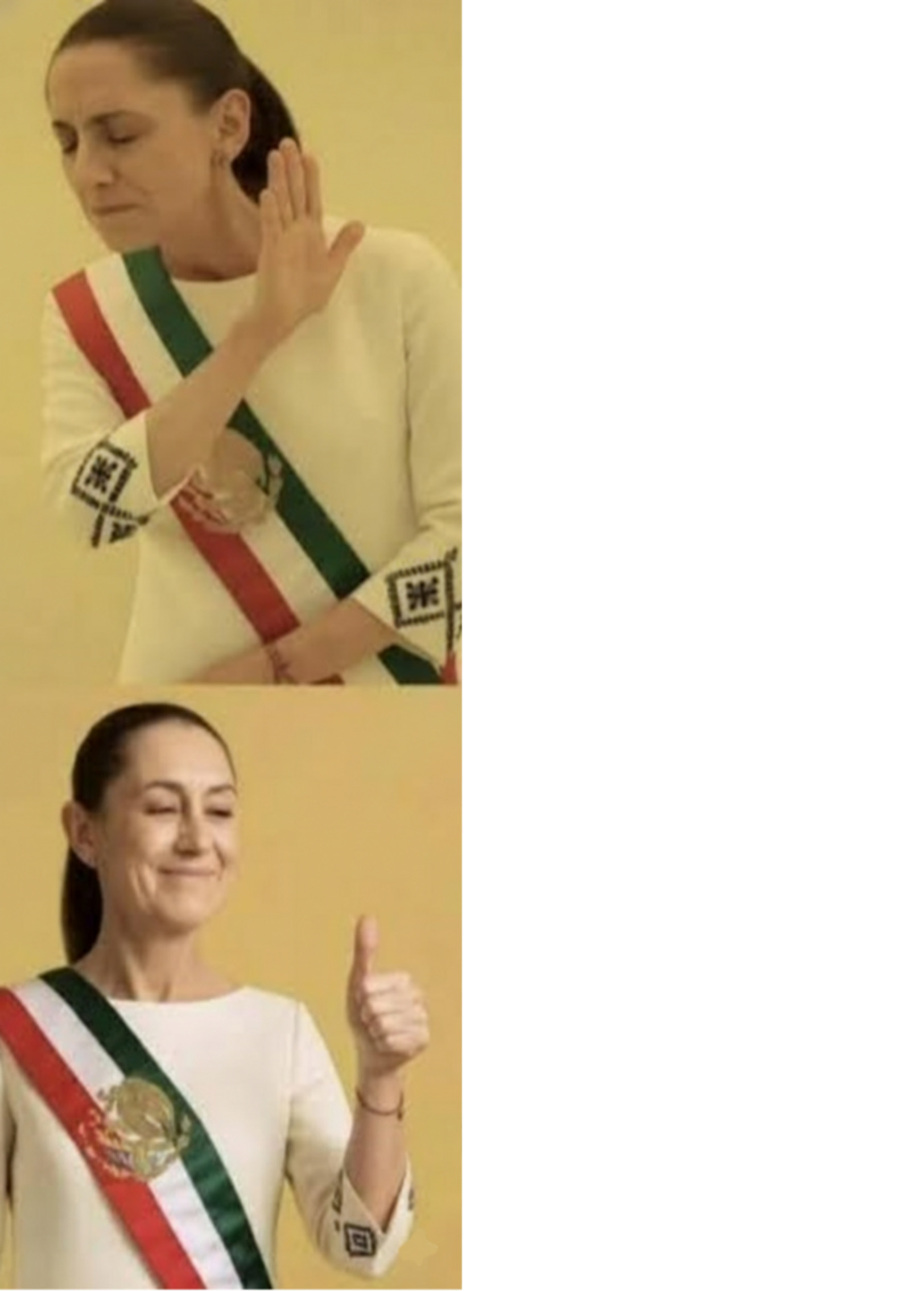 Narcopresirvienta Sheinbaum rechazando Sheinbaum contenta Blank Meme Template