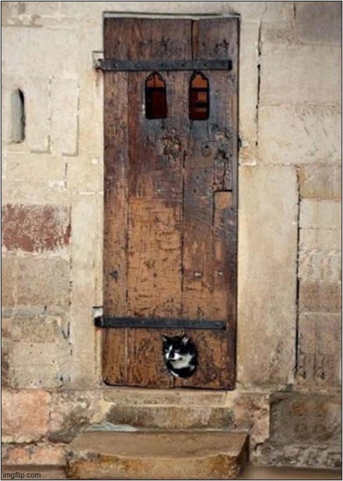 A 14th Century Cat Flap Set Into A Medieval Door At Exeter Cathedral | image tagged in cats,14th century,cat flap | made w/ Imgflip meme maker