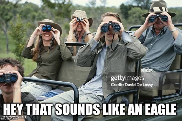 2 | HEY THAT SOUNDS LIKE AN EAGLE | image tagged in redtailedhawkz09 | made w/ Imgflip meme maker
