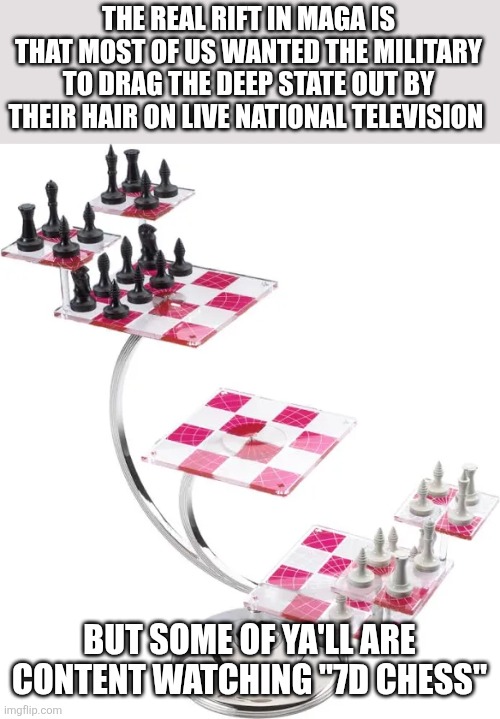 Precedent has already been set | THE REAL RIFT IN MAGA IS THAT MOST OF US WANTED THE MILITARY TO DRAG THE DEEP STATE OUT BY THEIR HAIR ON LIVE NATIONAL TELEVISION; BUT SOME OF YA'LL ARE CONTENT WATCHING "7D CHESS" | image tagged in funny memes | made w/ Imgflip meme maker