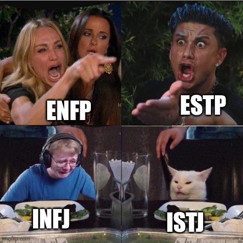 MBTI Inverted Type Feels | ESTP; ENFP; INFJ; ISTJ | image tagged in girl pointing at cat crossover meme,estp,enfp,infj,istj,mbti | made w/ Imgflip meme maker