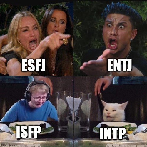 MBTI Inverted Type Feels | ENTJ; ESFJ; ISFP; INTP | image tagged in girl pointing at cat crossover meme,esfj,entj,intp,isfp,mbti | made w/ Imgflip meme maker