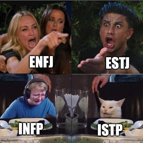 MBTI Inverted Type Feels | ESTJ; ENFJ; ISTP; INFP | image tagged in girl pointing at cat crossover meme,enfj,estj,infp,istp,personality | made w/ Imgflip meme maker