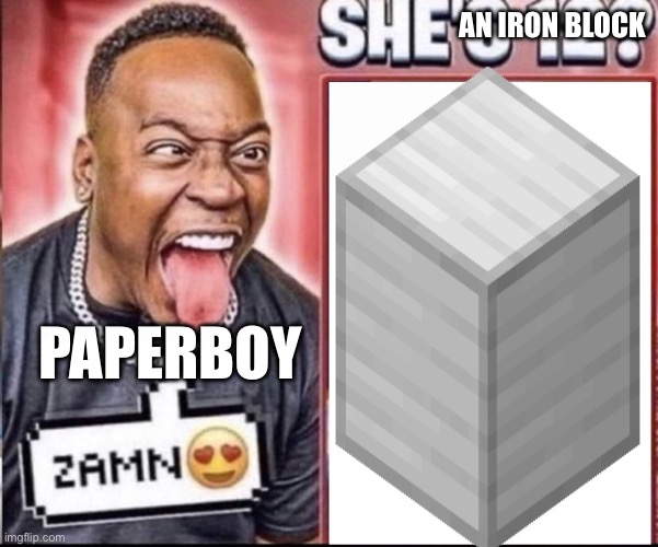 inib | AN IRON BLOCK; PAPERBOY | image tagged in inib,i need iron blocks | made w/ Imgflip meme maker