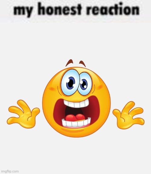 image tagged in my honest reaction | made w/ Imgflip meme maker