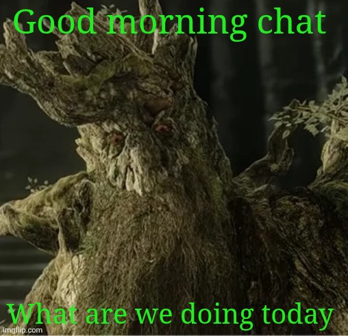 Hecate | Good morning chat; What are we doing today | image tagged in hecate | made w/ Imgflip meme maker