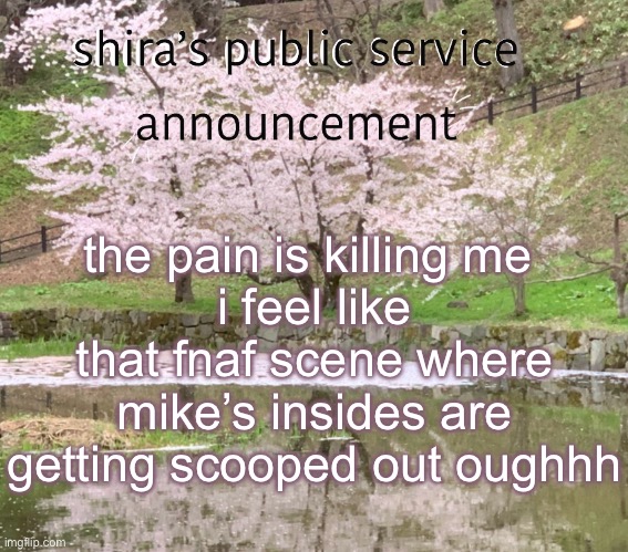 shira’s PSA | the pain is killing me 
i feel like that fnaf scene where mike’s insides are getting scooped out oughhh | image tagged in shira s psa | made w/ Imgflip meme maker