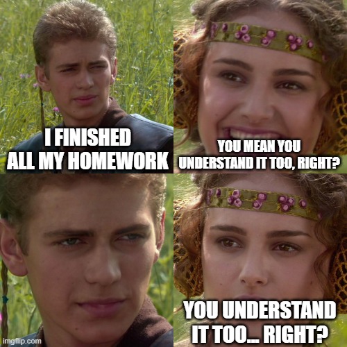 school stinks | I FINISHED ALL MY HOMEWORK; YOU MEAN YOU UNDERSTAND IT TOO, RIGHT? YOU UNDERSTAND IT TOO... RIGHT? | image tagged in anakin padme 4 panel,funny,fun,boring,homework | made w/ Imgflip meme maker