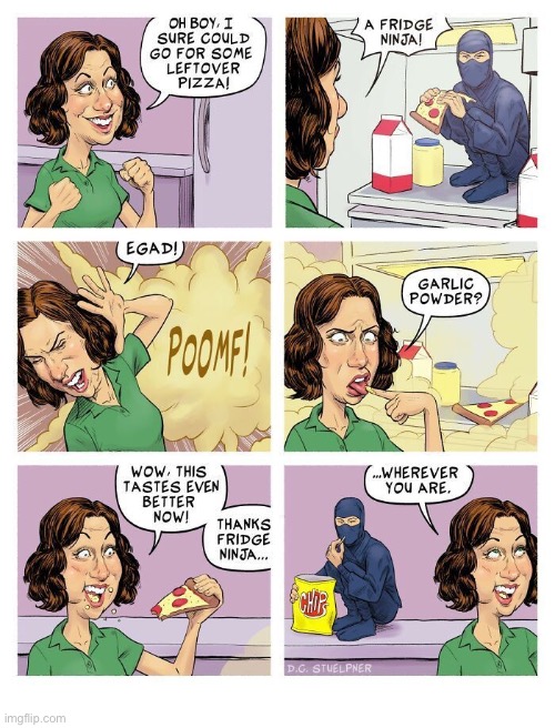 Thanks, Fridge Ninja!… | image tagged in comics,fridge ninja,woman,pizza,garlic powder,tasty | made w/ Imgflip meme maker