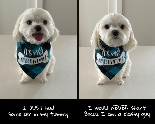 I JUST had some air in my tummy I would NEVER shart
Becuz I am a classy guy | made w/ Imgflip meme maker