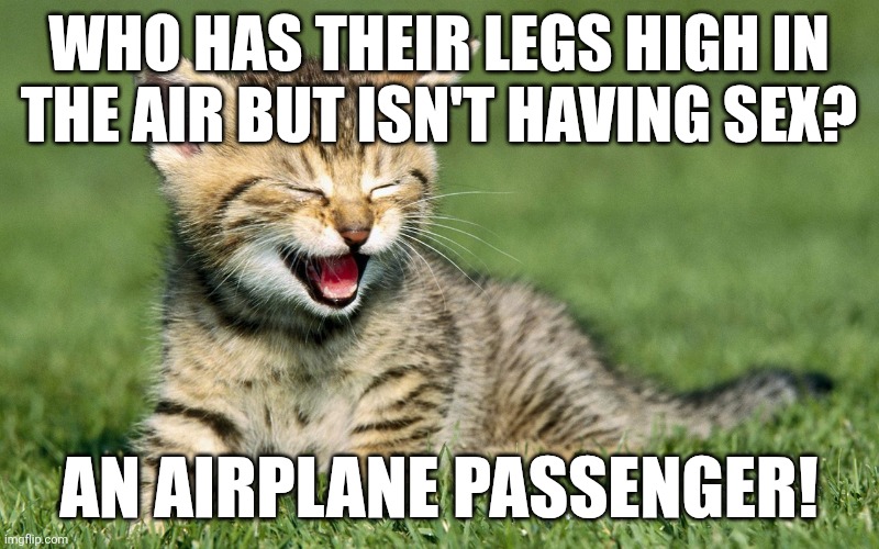 laughing cat | WHO HAS THEIR LEGS HIGH IN THE AIR BUT ISN'T HAVING SEX? AN AIRPLANE PASSENGER! | image tagged in laughing cat | made w/ Imgflip meme maker
