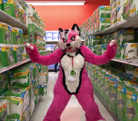 PinkGeminiHusky in an aisle of Bounty paper towel thingys Blank Meme Template