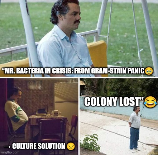 Sad Pablo Escobar | “MR. BACTERIA IN CRISIS: FROM GRAM-STAIN PANIC🥹; COLONY LOST”😂; → CULTURE SOLUTION 😒 | image tagged in memes,sad pablo escobar | made w/ Imgflip meme maker