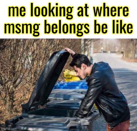 looking in garbage | me looking at where msmg belongs be like | image tagged in looking in garbage | made w/ Imgflip meme maker