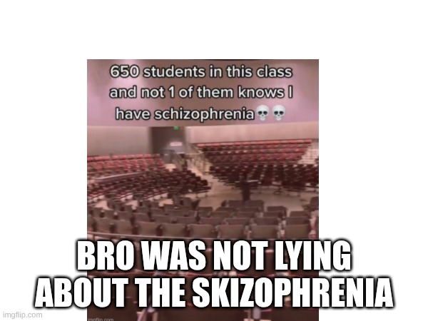 BRO WAS NOT LYING ABOUT THE SKIZOPHRENIA | made w/ Imgflip meme maker