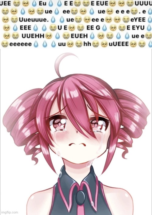 Teto crying | image tagged in teto crying | made w/ Imgflip meme maker