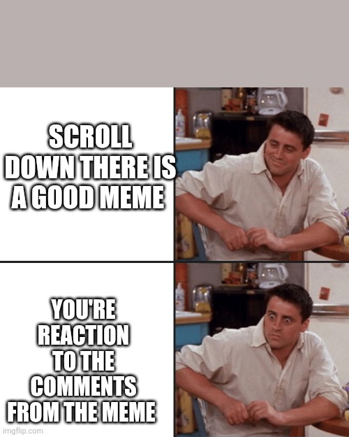 Joey Friends | SCROLL DOWN THERE IS A GOOD MEME; YOU'RE REACTION TO THE COMMENTS FROM THE MEME | image tagged in joey friends | made w/ Imgflip meme maker