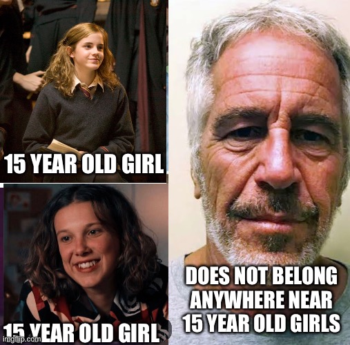15 YEAR OLD GIRL; DOES NOT BELONG ANYWHERE NEAR 15 YEAR OLD GIRLS; 15 YEAR OLD GIRL | made w/ Imgflip meme maker