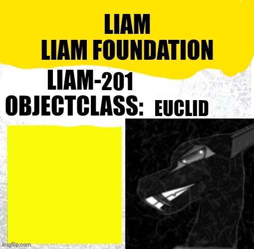 Liam-201 Blank Meme Template