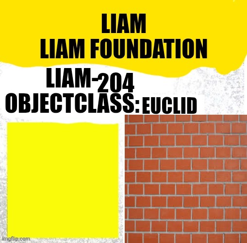 Liam-204 Blank Meme Template