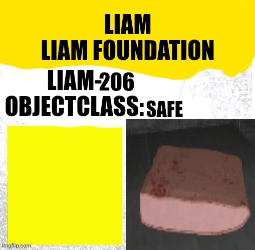 Liam-206 Blank Meme Template