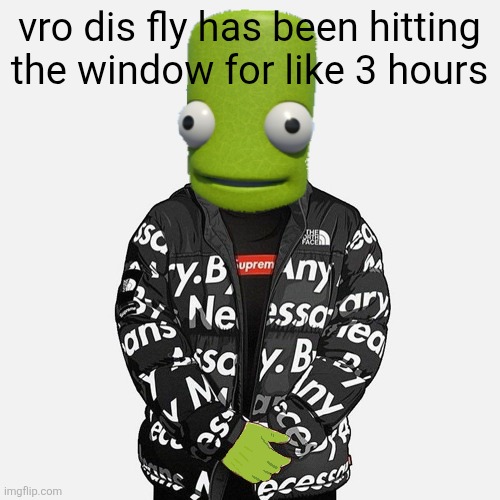 epilektoi drip | vro dis fly has been hitting the window for like 3 hours | image tagged in epilektoi drip | made w/ Imgflip meme maker