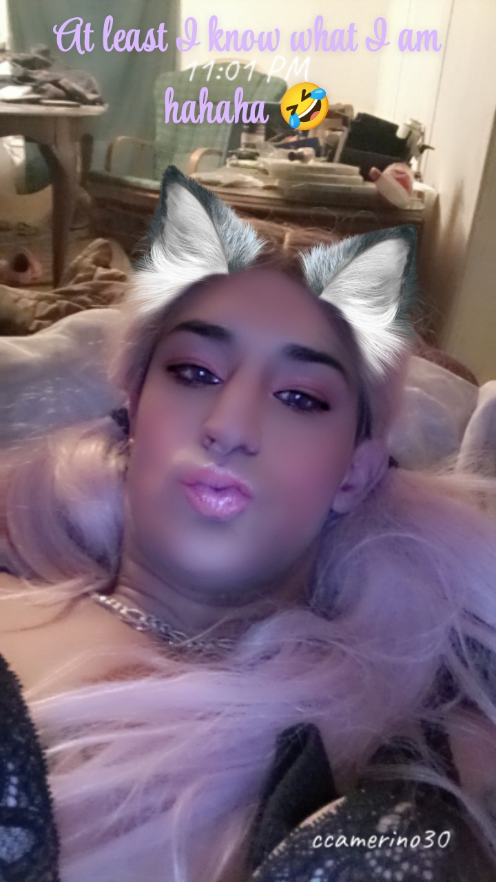 Charles camerino Blank Meme Template