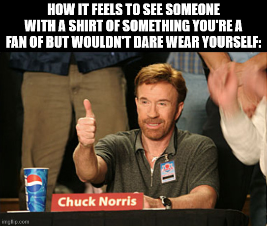 *Approves in silence* | HOW IT FEELS TO SEE SOMEONE WITH A SHIRT OF SOMETHING YOU'RE A FAN OF BUT WOULDN'T DARE WEAR YOURSELF: | image tagged in memes,chuck norris approves,chuck norris,funny,fan,t-shirt | made w/ Imgflip meme maker