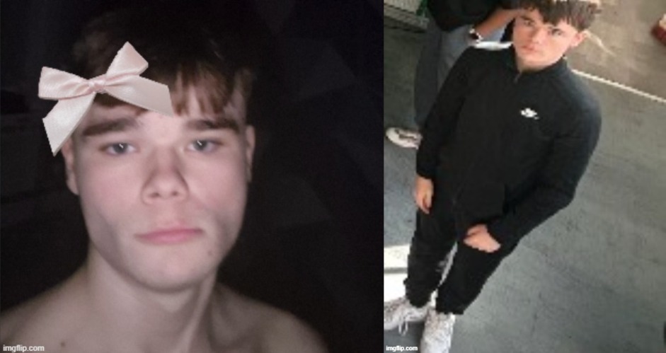 which pic of me is more iconic | image tagged in so cutesie,emosnake staring | made w/ Imgflip meme maker