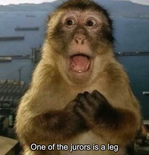 One of the jurors is a leg | made w/ Imgflip meme maker