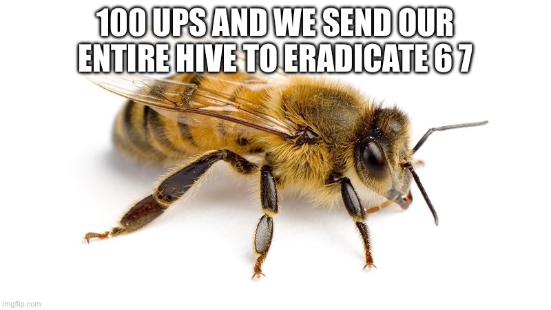 Bee | 100 UPS AND WE SEND OUR ENTIRE HIVE TO ERADICATE 6 7 | image tagged in bee,6 7,unfunny | made w/ Imgflip meme maker