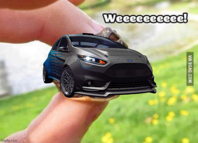 Weeeee | image tagged in weeeee | made w/ Imgflip meme maker