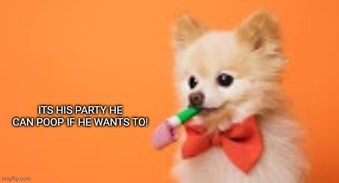 Party dog | ITS HIS PARTY HE CAN POOP IF HE WANTS TO! | image tagged in party dog | made w/ Imgflip meme maker