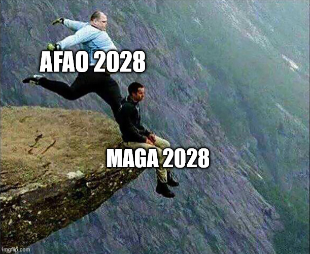 Kicked off cliff | AFAO 2028; MAGA 2028 | image tagged in kicked off cliff | made w/ Imgflip meme maker