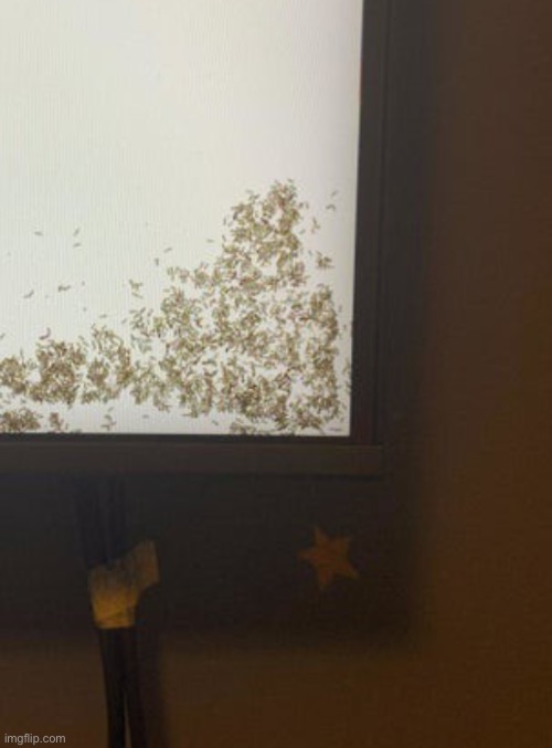 get us out | made w/ Imgflip meme maker