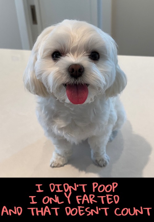 I DIDN’T POOP
I ONLY FARTED 
AND THAT DOESN’T COUNT | made w/ Imgflip meme maker