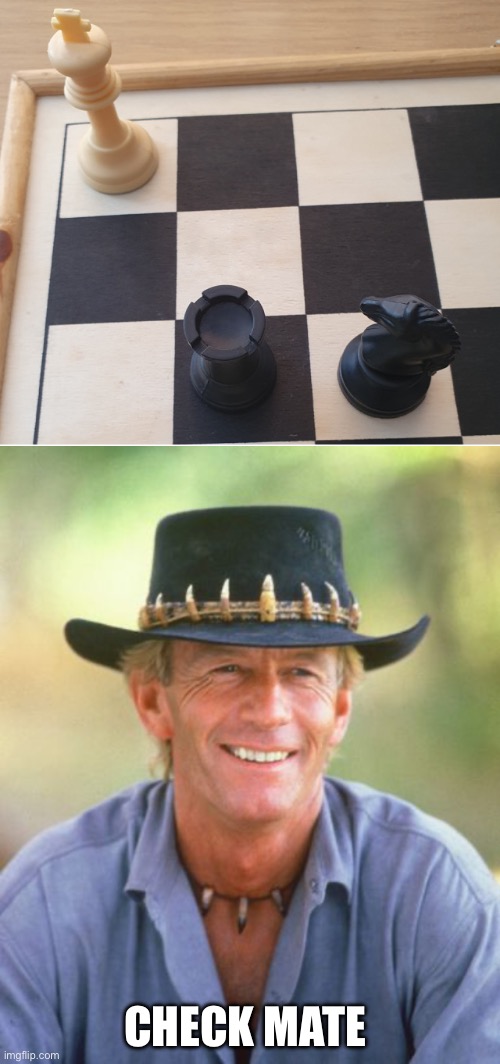 Maaaaaaate | CHECK MATE | image tagged in check mate,noice,mate,australia | made w/ Imgflip meme maker