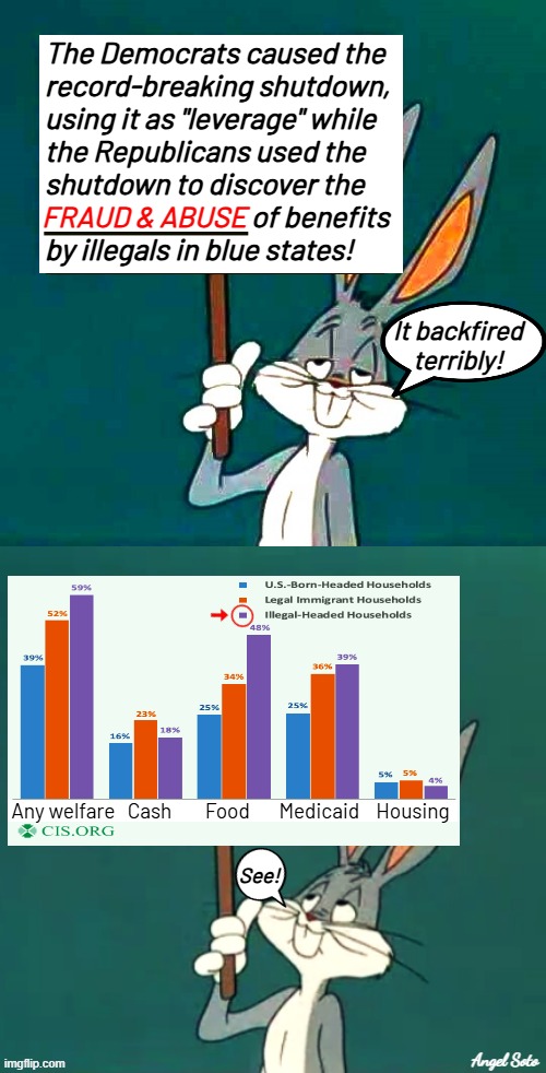 bugs bunny has a message about democrats | The Democrats caused the
record-breaking shutdown,
using it as "leverage" while
the Republicans used the
shutdown to discover the
                                   of benefits              
by illegals in blue states! FRAUD & ABUSE; It backfired
terribly! Any welfare   Cash        Food       Medicaid    Housing; See! Angel Soto | image tagged in bugs bunny reveals democrat fraud,bugs bunny,democrats,republicans,fraud and abuse,welfare | made w/ Imgflip meme maker