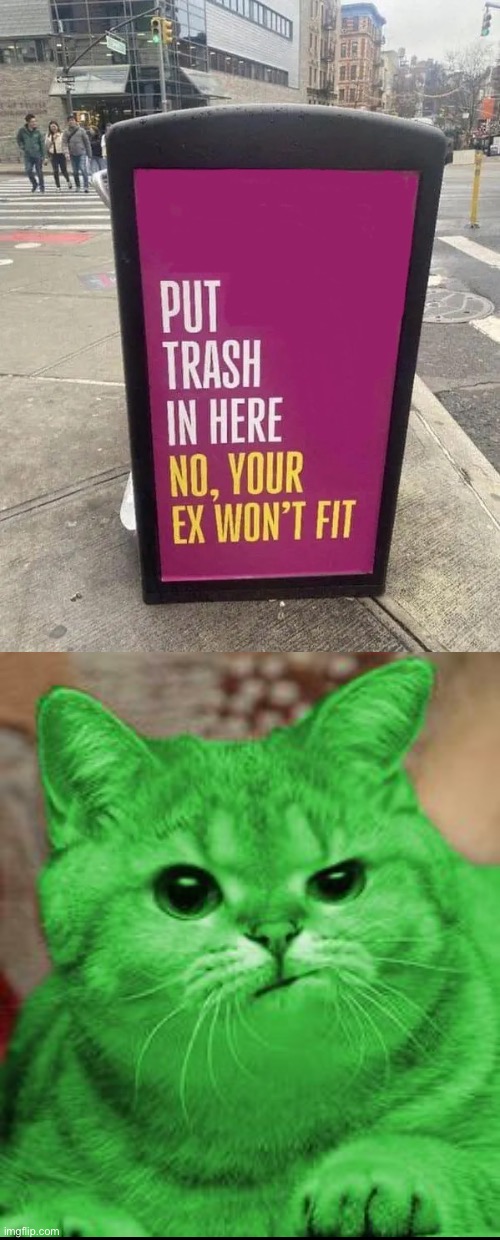 Disappointment | image tagged in cats,disappointment,garbage,annoyed,hilarious memes,funny memes | made w/ Imgflip meme maker