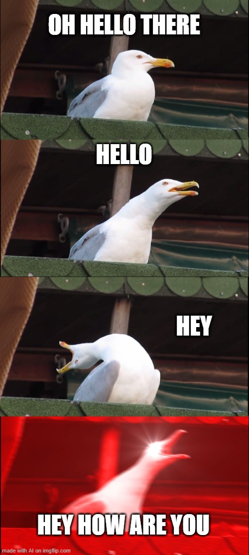 Hey, how are you? | OH HELLO THERE; HELLO; HEY; HEY HOW ARE YOU | image tagged in memes,inhaling seagull,funny | made w/ Imgflip meme maker