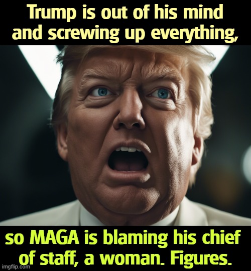 Trump is out of his mind and screwing up everything, so MAGA is blaming his chief 
of staff, a woman. Figures. | image tagged in trump,incompetence,maga,misogyny,chief | made w/ Imgflip meme maker